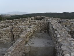 Yacimiento de la Almoloya 2023